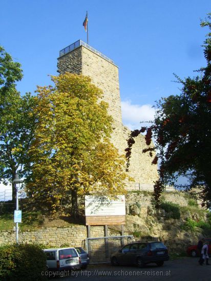 WACHENHEIM > Burgruine Wachtenberg