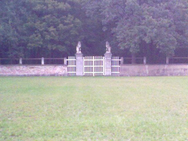 SCHLOSS LAXENBURG 2