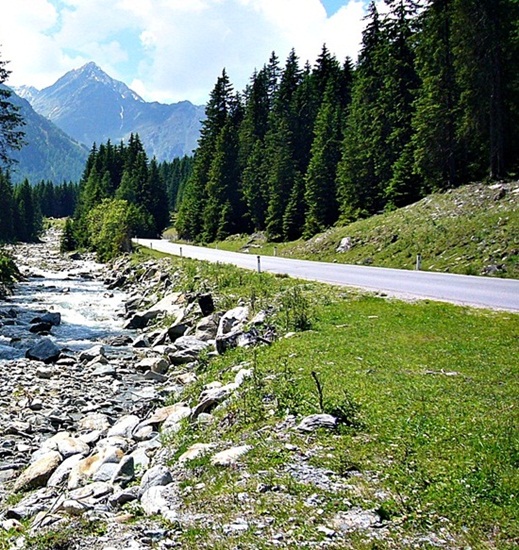 KÜHTAI PASS > Hochlandrinder