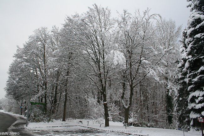 BÖBLINGEN-RAUHER KAPF > Waldsiedlung - Schneeeindrücke vom 13.12.2008