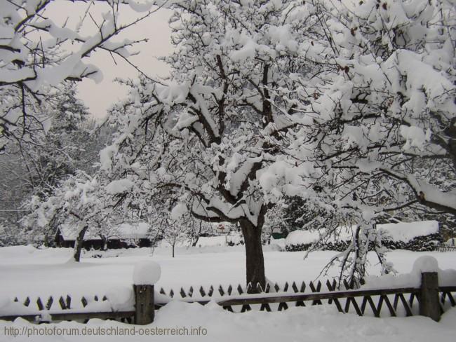 KÖTSCHACH-MAUTHEN > Schneehöhe