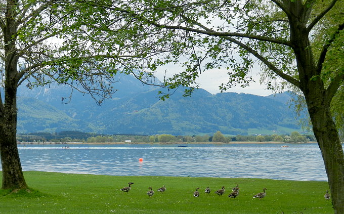 Am Chiemsee 2