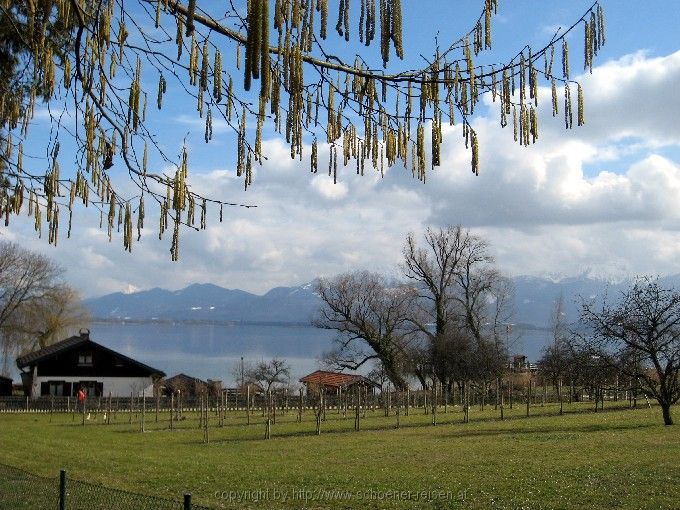 Vorfruehling am Chiemsee 3