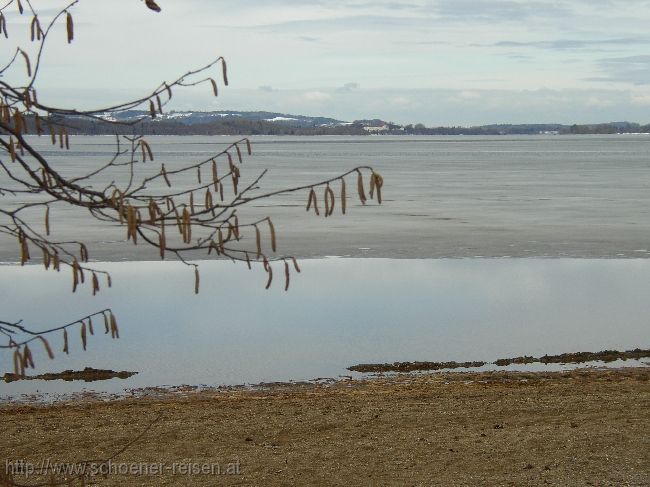 CHIEMSEE > Winterende > Haselstrauch