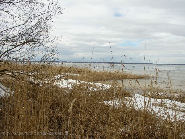 CHIEMSEE > Winterende  > Schilfgürtel > Blick zur Herreninsel