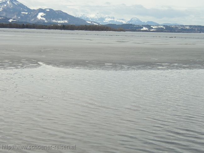 CHIEMSEE > Winterende > eisfreie Flächen