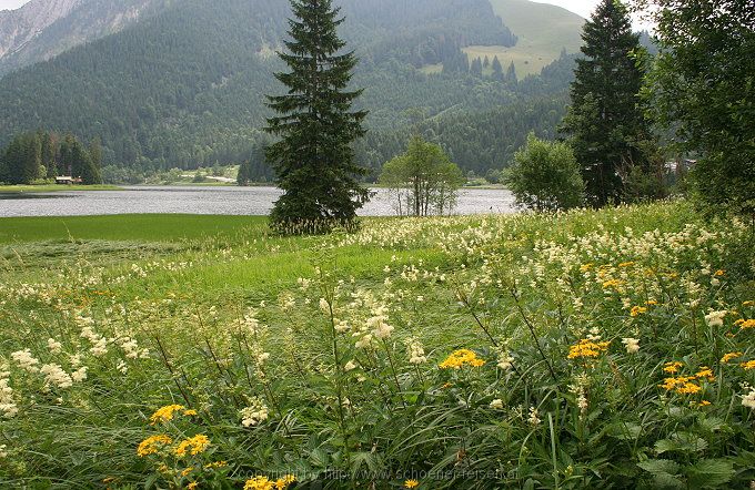 Am Spitzingsee