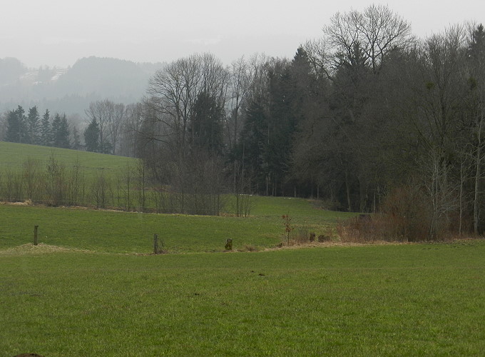 bei Irschenberg im April 2