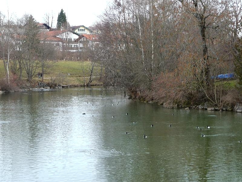 bei Gmund-die Mangfall