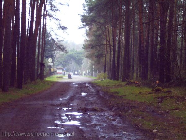 DÜBENER HEIDE, Kögelwanderweg