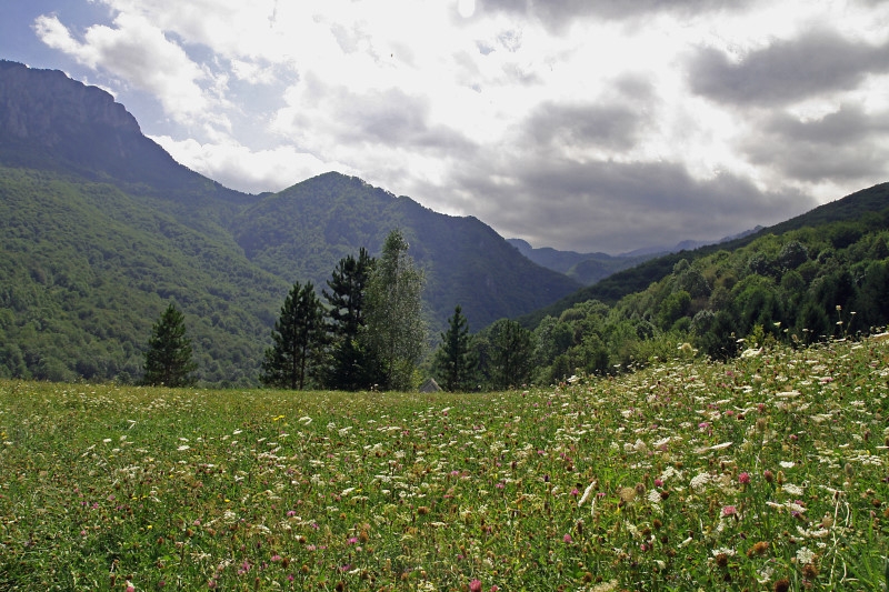 Sutjeska  028 11 800