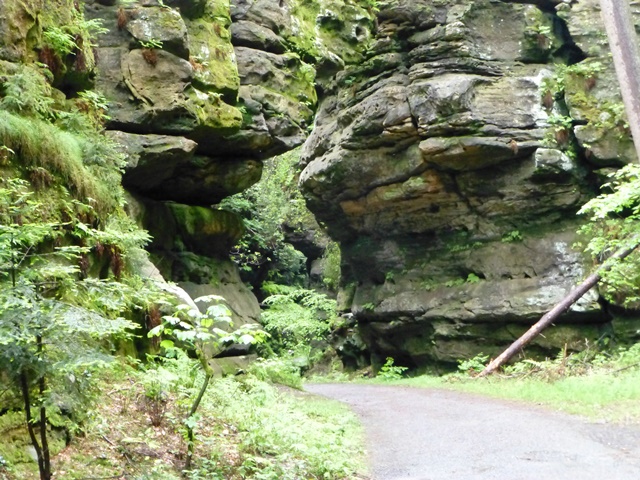 Elbsandsteingebirge > Wanderung im Regen 4