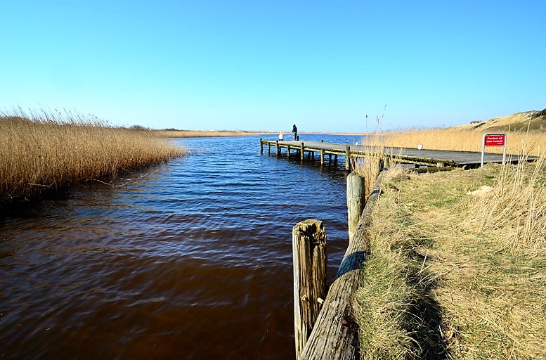 Ringkøbing Fjord DSC_9481