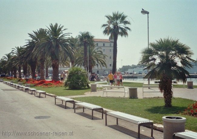 SPLIT > Palmen vor dem Diakletianpalast