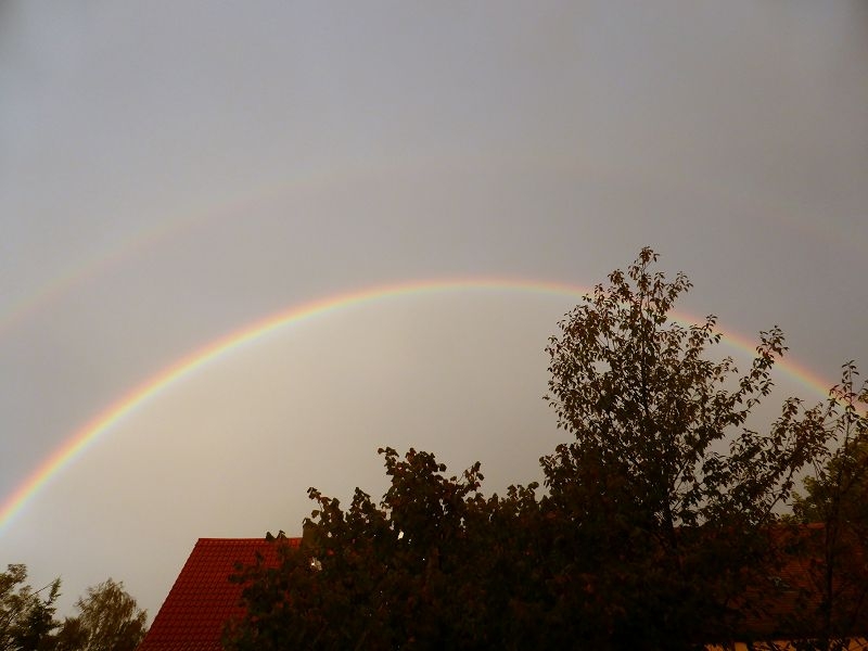 Regenbogen