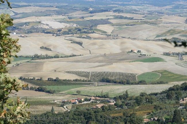 PROVINZ SIENA > Crete