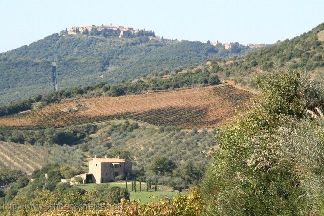 MONTALCINO > Provinz Siena