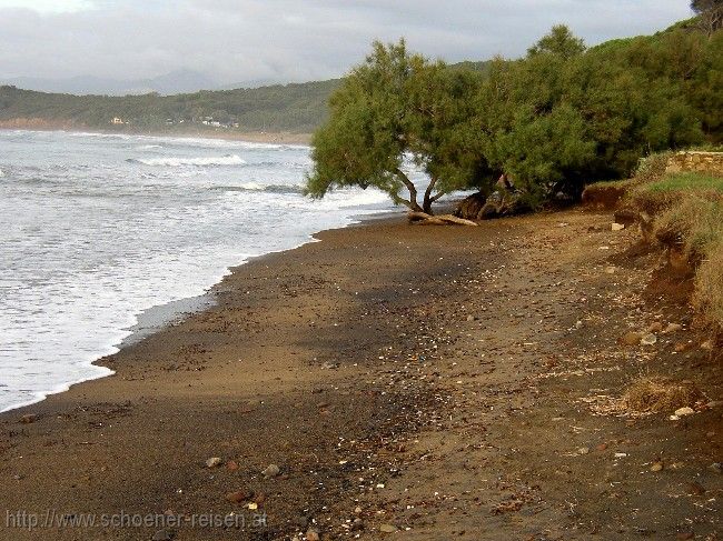 POPULONIA > Strand