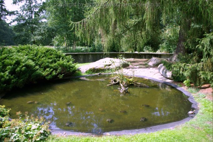 BREMEN > Botanischer Garten > Schildkrötenteich