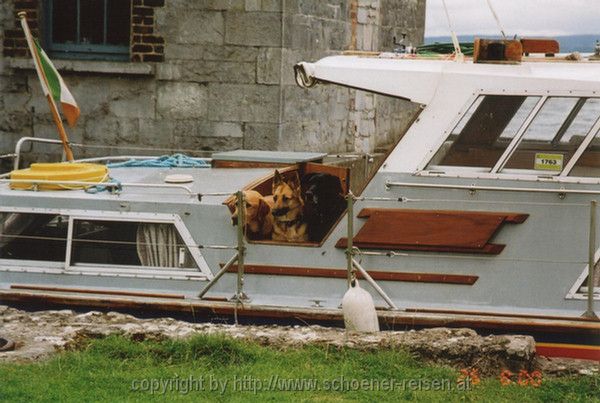 DROMINEER > drei Hunde auf dem Boot