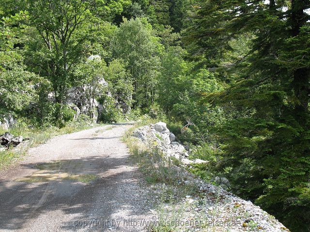 KARLOBAG > Nationalpark Velebit > Safari 5