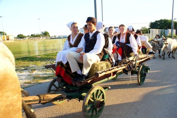 Kanfanar - Ochsenfest