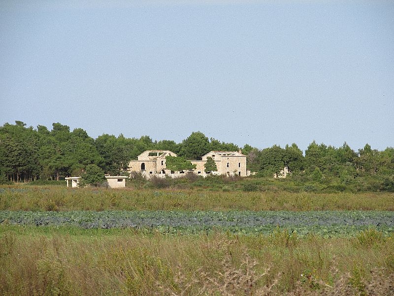 Kuk Landwirtschaft