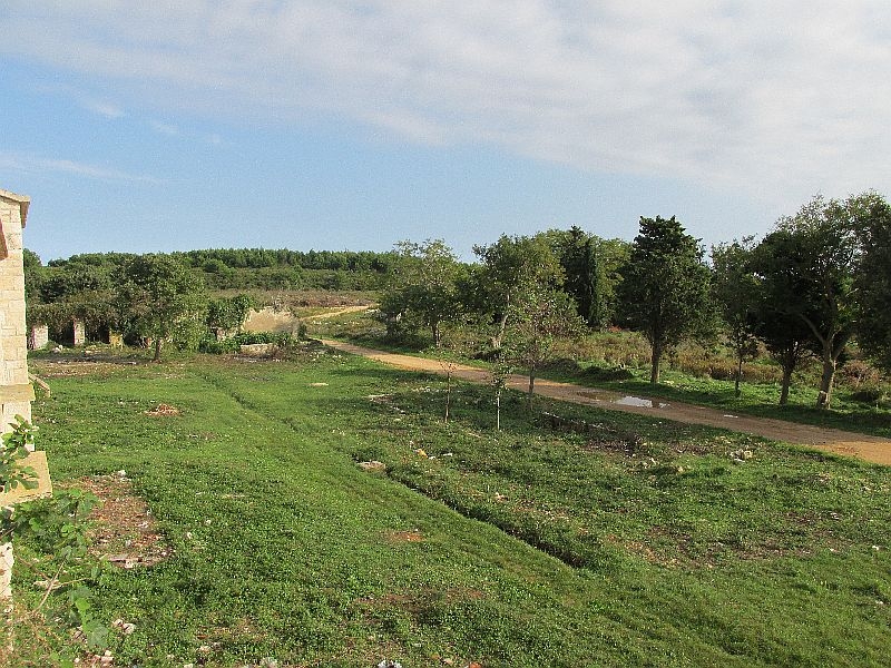 Kuk Landwirtschaft  (5)