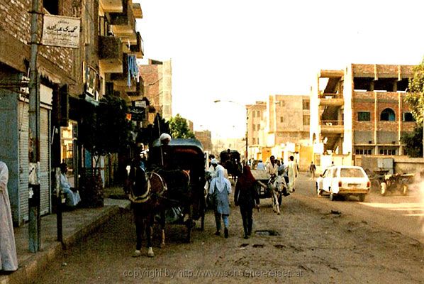 Nilkreuzfahrt / Kom-Ombo / Edfu / Esna 6