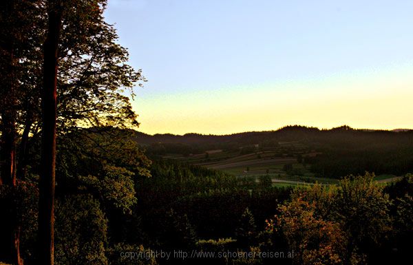 Burg Rapottensten im Waldviertel 7