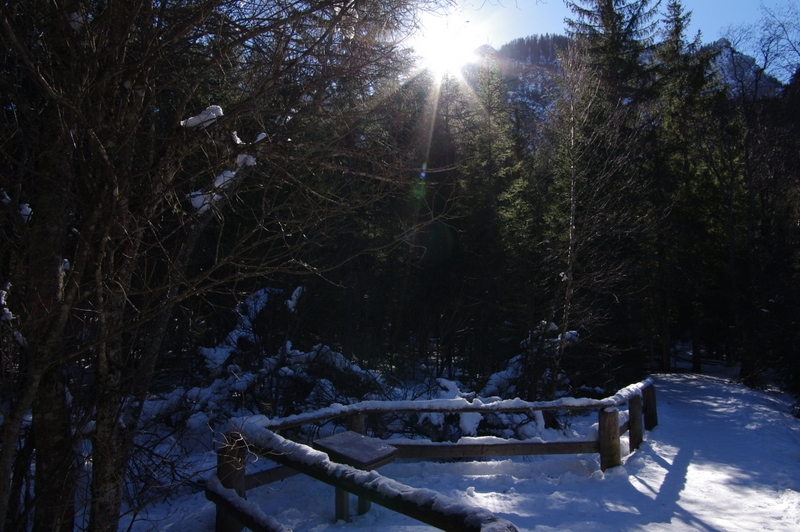 Toblacher See Pustertal/ Südtirol