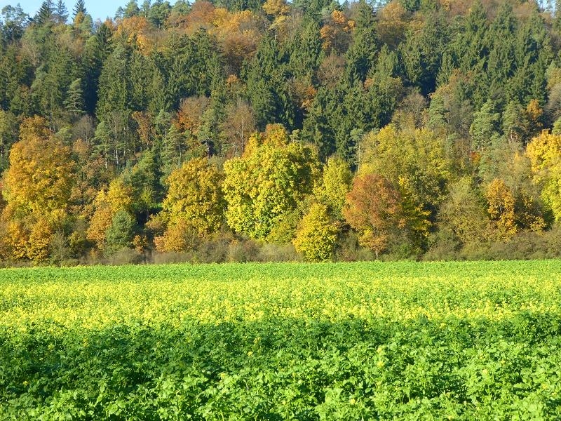 eine Tour im Herbst