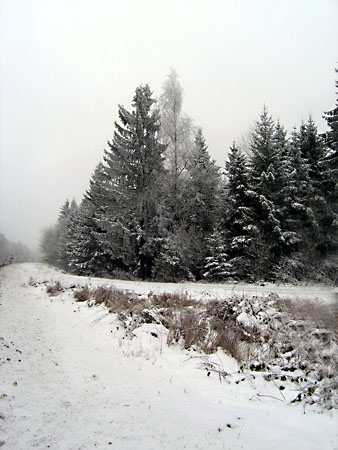 Winter im Waldviertel
