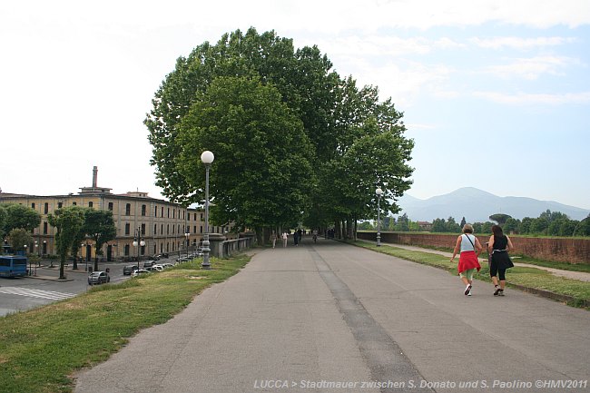 LUCCA > Stadtmauer > Weg zwischen den Bastionen Donato und Paolino - oberhalb Porta San Anna