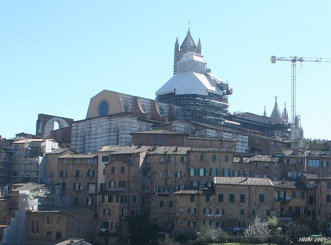 SIENA > Dom Santa Maria Assunta