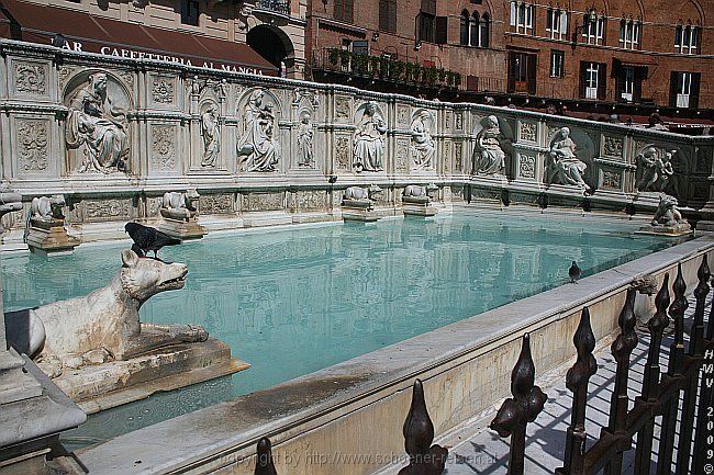 SIENA > Il Campo > Brunnen Fonte Gaia