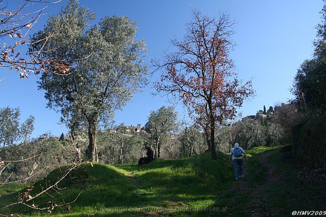 MONTECATINI ALTO > Wanderweg von Montecatini Terme kommend