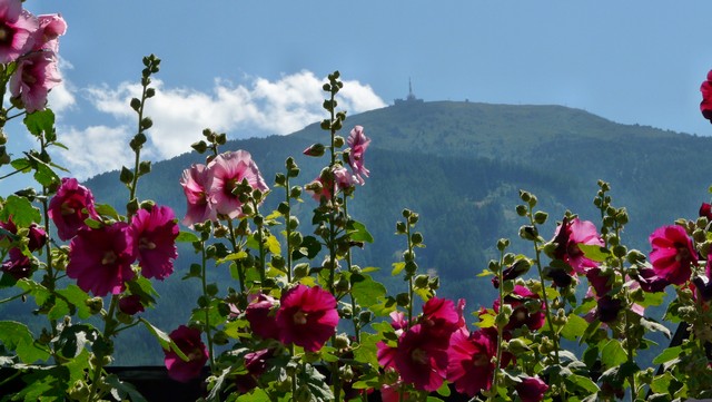 Panoramaradltour 2