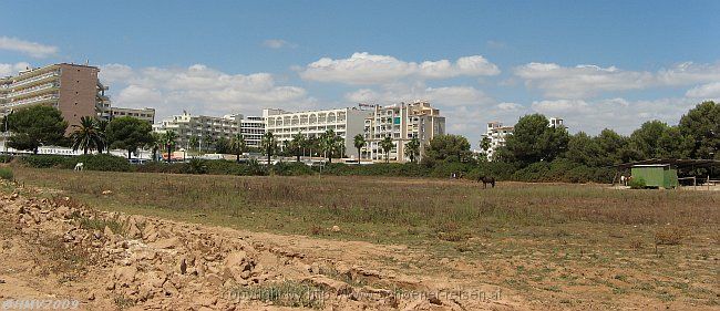 HALBINSEL SA PUNTA DE N'AMER > Gegensatz - Hotelbauten und Reitpferde