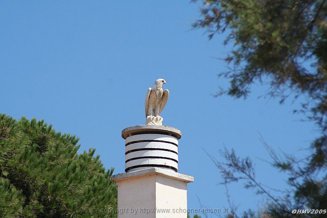 CALA MORLANDA > Südspitze > Klostergelände > Greifvogel