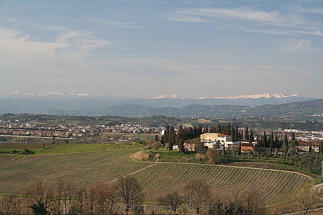 EMPOLI-CASENUOVE > WEINGUT MONTAIONCINO > Ausblick nach Norden