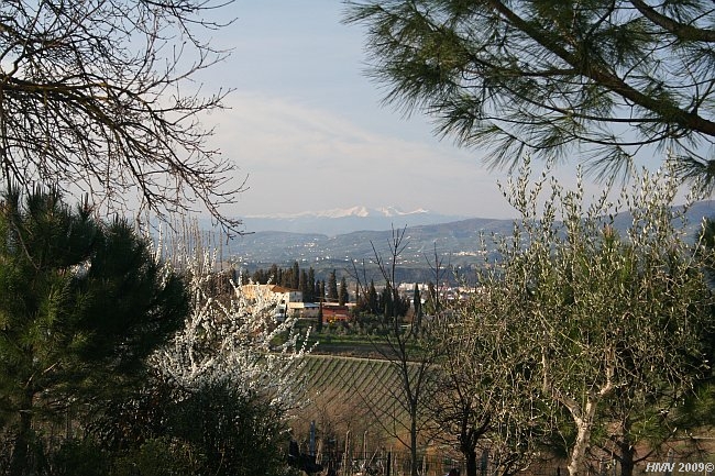 EMPOLI-CASENUOVE > WEINGUT MONTAIONCINO > Ausblick nach Norden