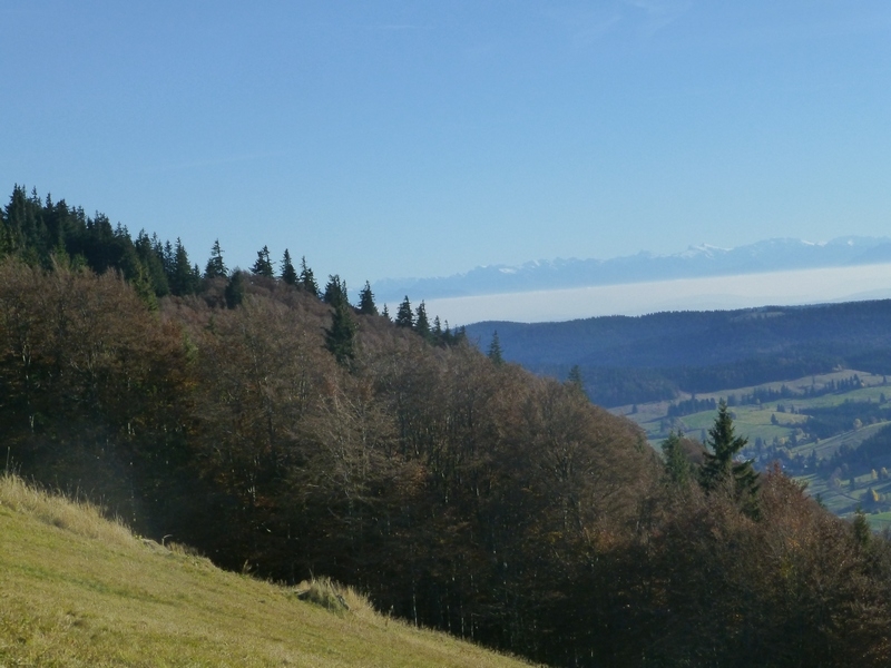 Im Südschwarzwald bei Bernau