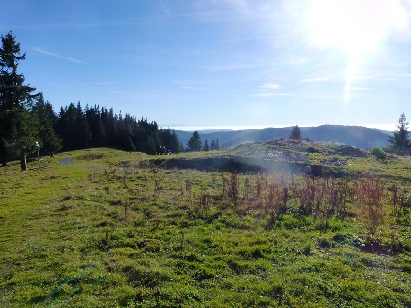 Im Südschwarzwald bei Bernau