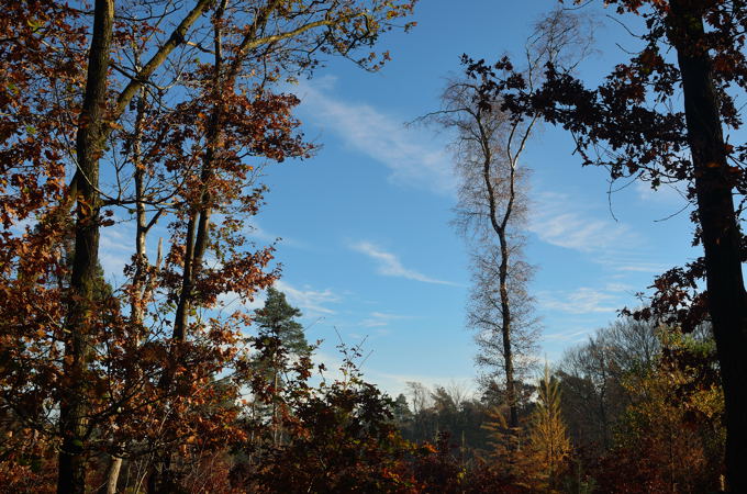 Naturpark Hohe Mark