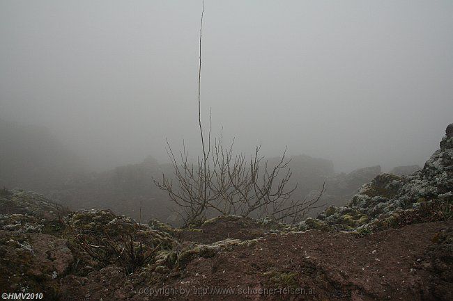 NATIONALPARK VESUV > Vulkankrater versunken im Nebel