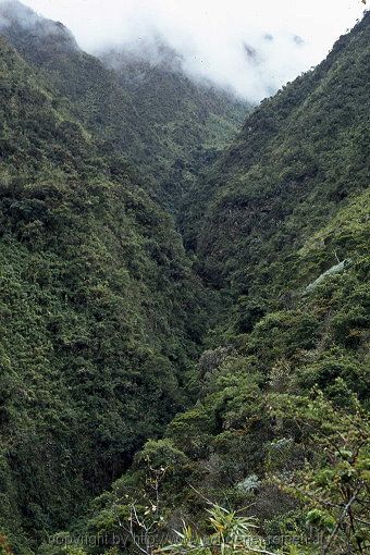 Salcantay Trail