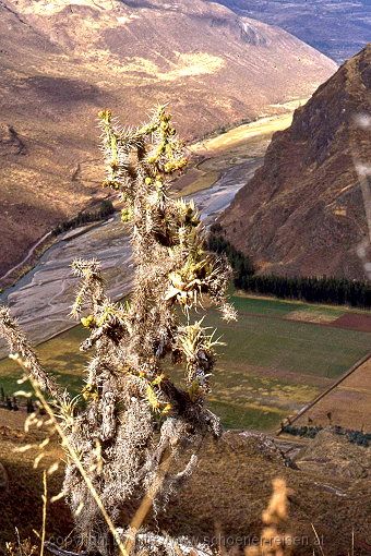 Pisac