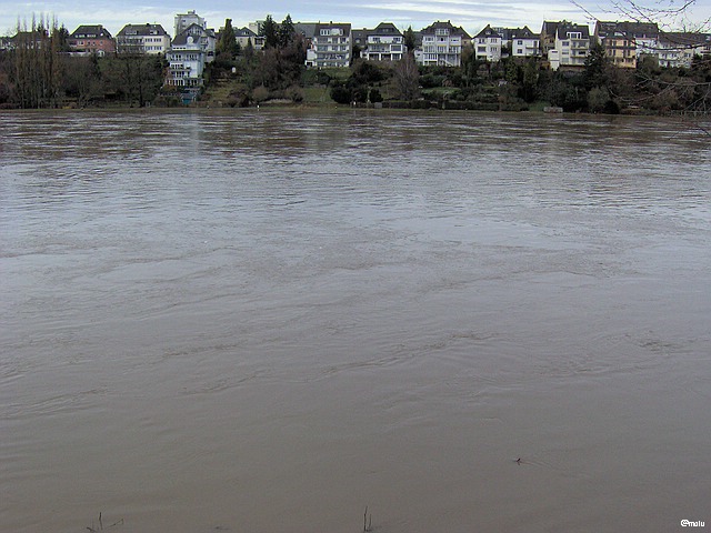 Blick auf das Lützeler Ufer