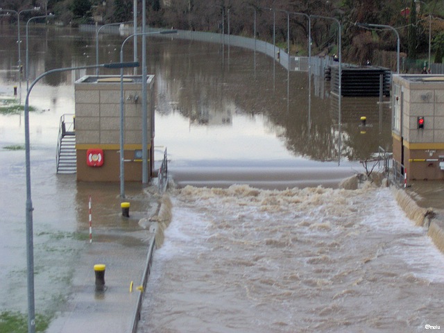 Schleuse Koblenz